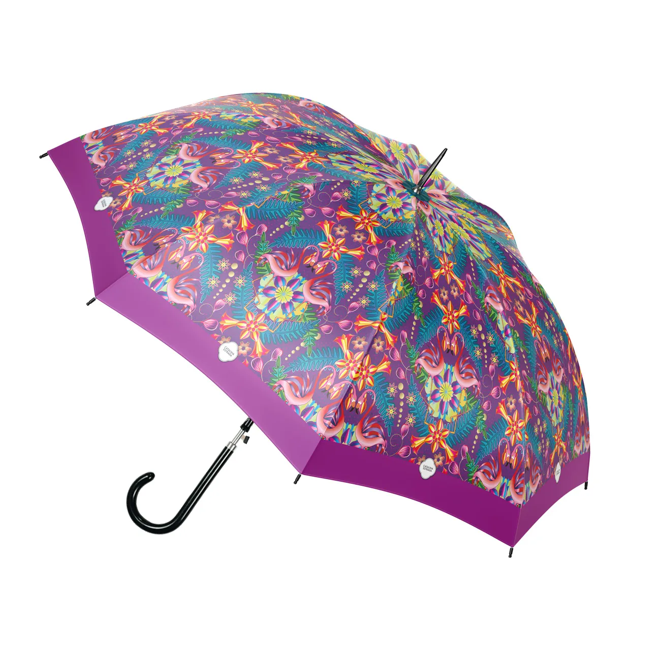 PARAGUAS CATALINA MORADO_2_11zon